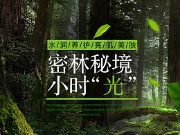 金刚鹦鹉逃生