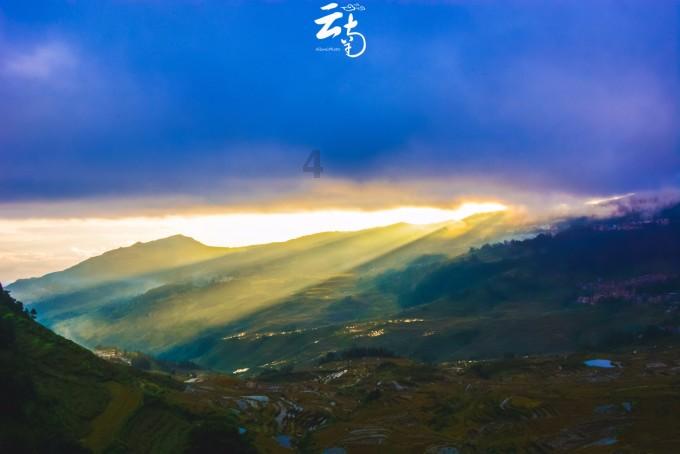 奥日与黑暗森林