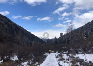 爱与痛的交织：婚姻背后的真相