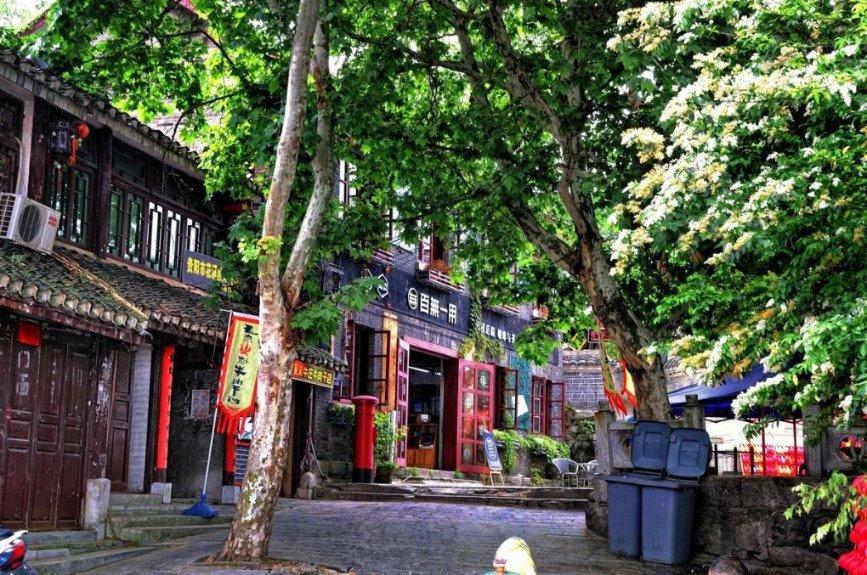 逃出林中村